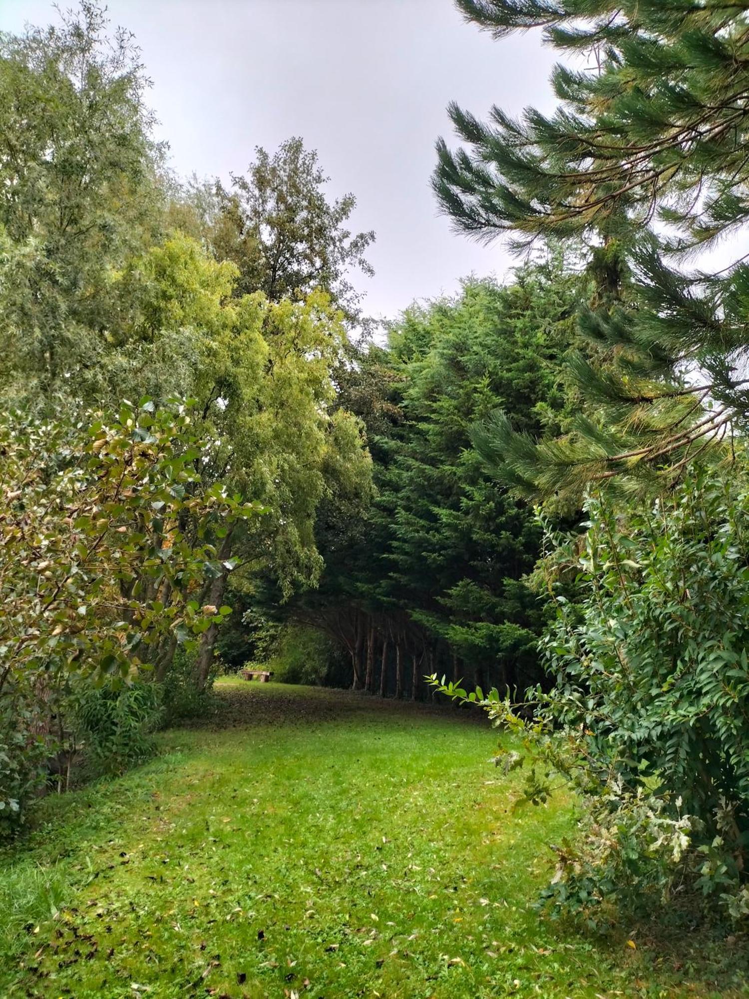 La Mouillere Bed & Breakfast Verton Bagian luar foto