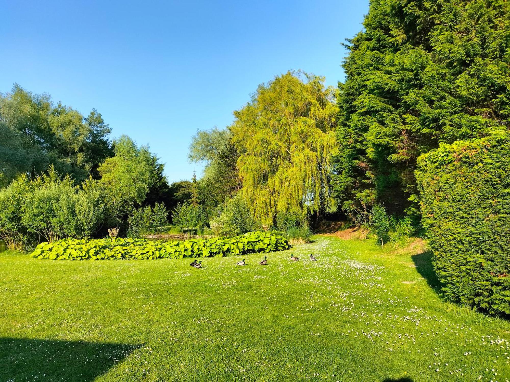 La Mouillere Bed & Breakfast Verton Bagian luar foto